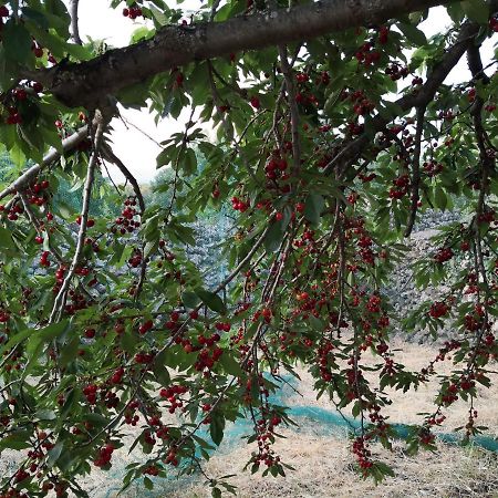 Alle Pendici Dell'Etna Ragalna Luaran gambar
