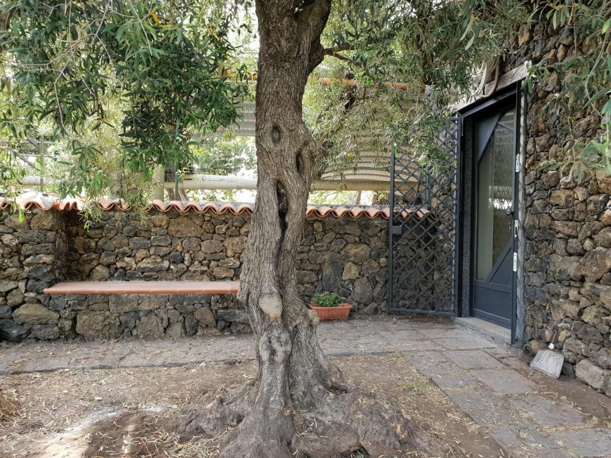 Alle Pendici Dell'Etna Ragalna Luaran gambar